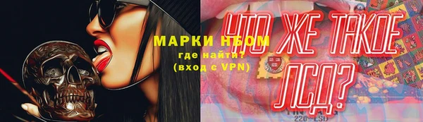 гидра Богородицк