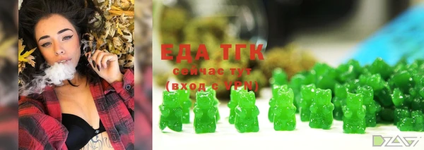 гидра Богородицк