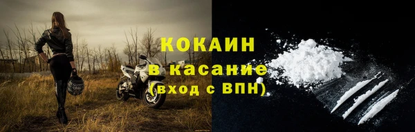 гидра Богородицк