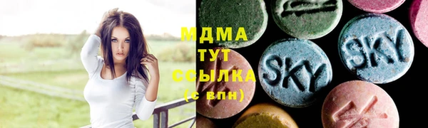прущие грибы Беломорск