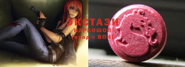 гидра Богородицк