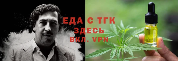 гидра Богородицк