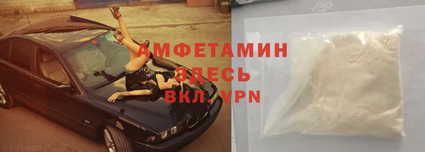 прущие грибы Беломорск