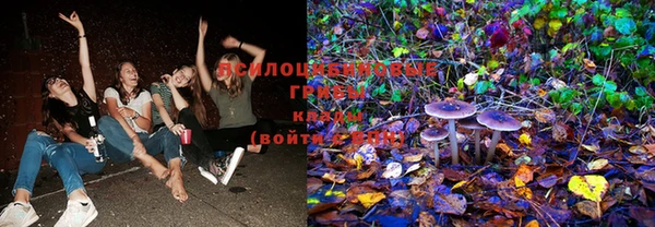 кокаин Белокуриха