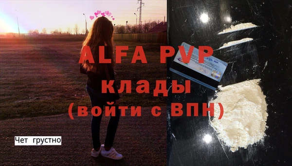 гидра Богородицк