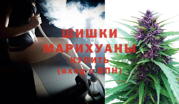 прущие грибы Беломорск