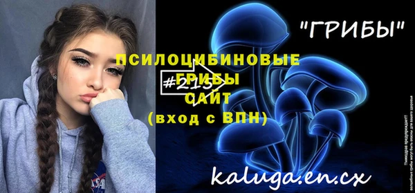 гидра Богородицк
