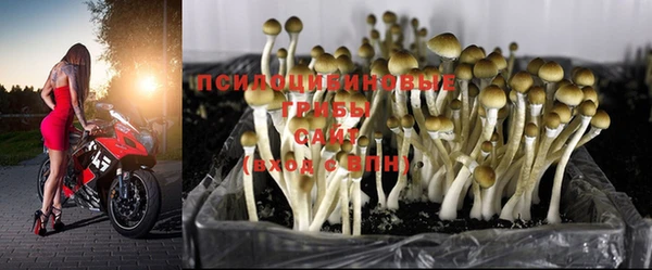 мяу мяу мука Белоозёрский