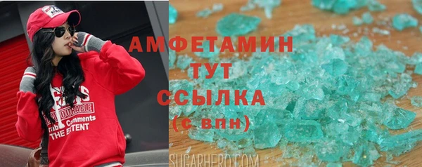 прущие грибы Беломорск